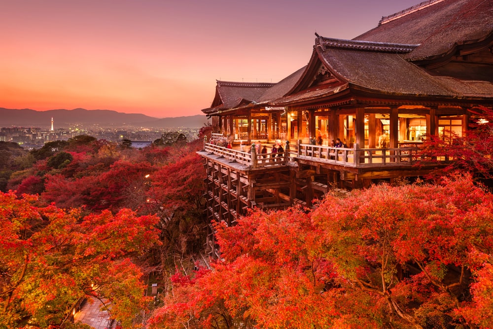 Kiyomizu Temple in Kyoto is a must-visit destination for youth trips to Japan, offering stunning views, rich history, and a deep dive into traditional culture.